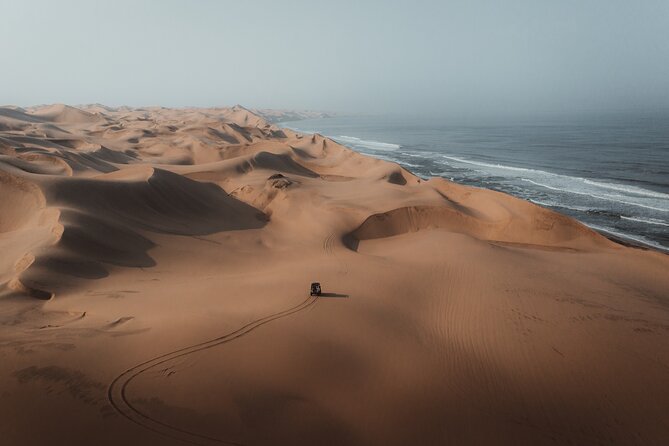 Mola Mola Marine Dune Experience - Dune Adventure Activities