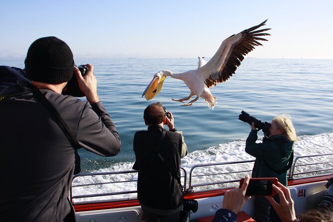 Mola Mola Marine Dune Experience - Tour Inclusions and Amenities