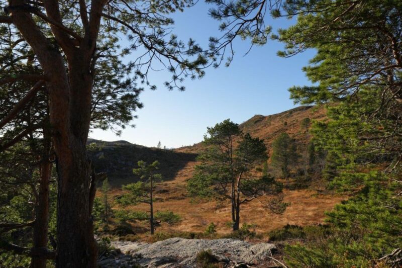 Molde - Guided Hike Along Mount Varden - Customer Feedback