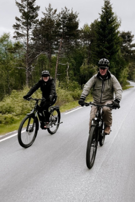 Molde: Highlights of Molde Guided Tour by E-Bike - Included in the Tour