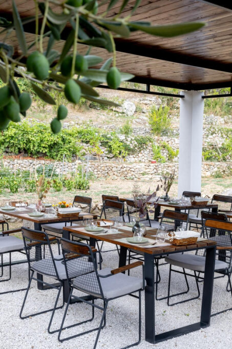 MOLENDINO Olive Oil Tasting & Historical Tour - Additional Information