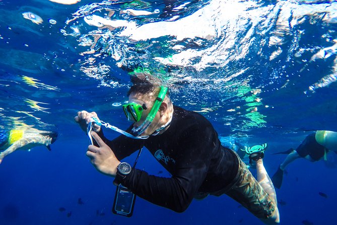 Molokini and Turtle Arches Snorkeling Trip From Maalaea Harbor - Reviews Highlights