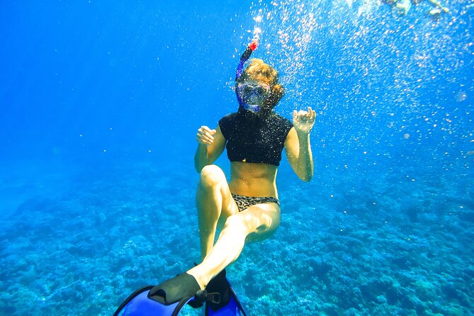 Molokini Crater Snorkeling Adventure - Recommendations