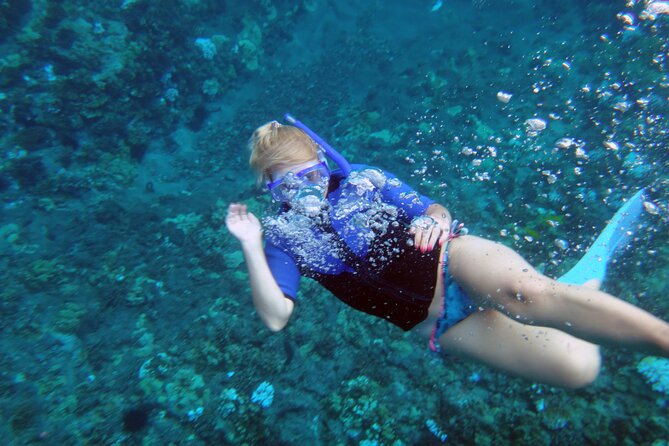 Molokini Crater Snorkeling Adventure - Snorkeling Highlights