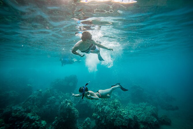 Molokini Crater Snorkeling & Whale Watching 10:30 Am From Kihei - Key Points