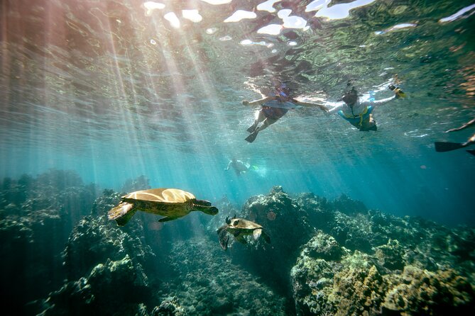 Molokini Crater Snorkeling & Whale Watching 10:30 Am From Kihei - Booking and Cancellation Policy