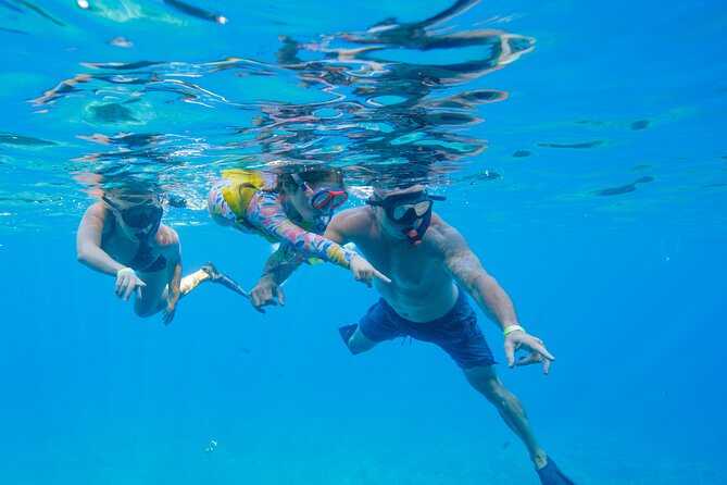 Molokini Crater Snorkeling & Whale Watching 10:30 Am From Kihei - Whale Watching Highlights