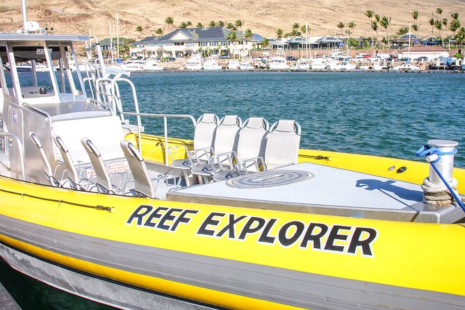 Molokini Crater Zodiak Adventure - Snorkel and Turtle Cove Swim - Positive Traveler Experiences