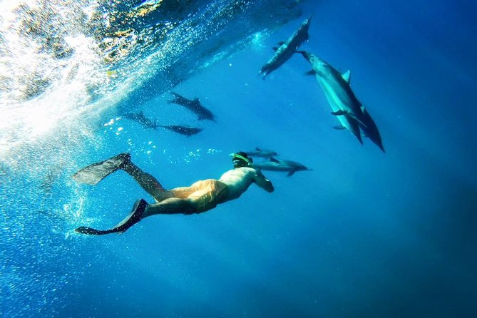 Molokini Snorkel and Performance Sail From Maalaea Harbor - Breakfast, Lunch, and Beverages Included