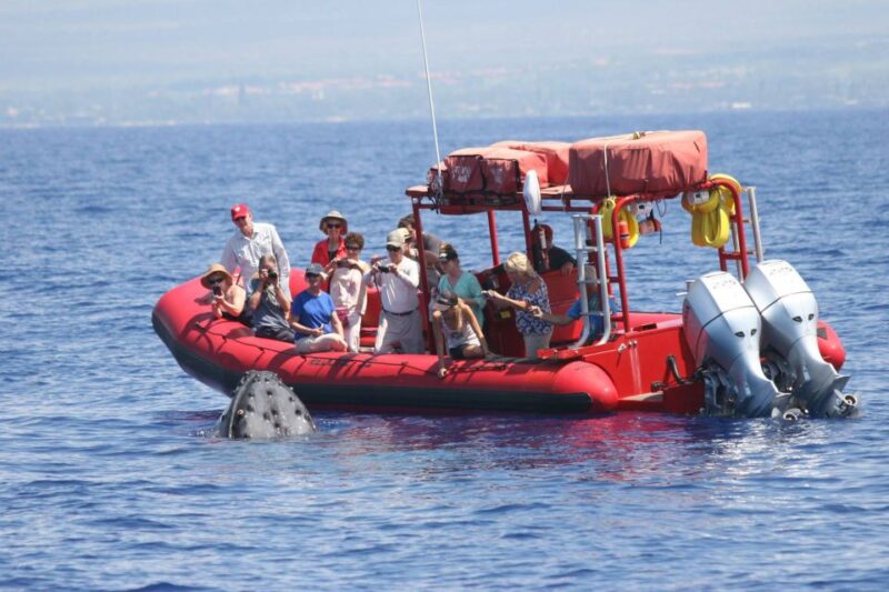 Molokini Snorkel & South Maui Coast Tour - Snorkeling Destinations