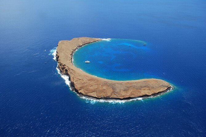 Molokini Snorkeling Adventure Aboard Calypso From Maalaea Harbor - Just The Basics