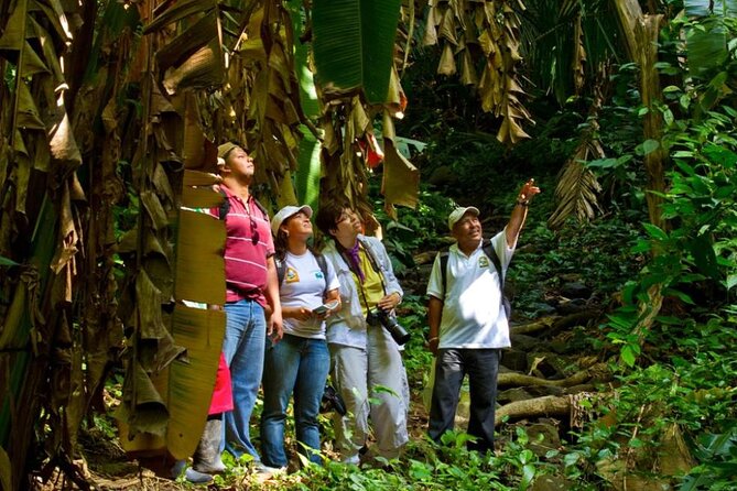 Mombacho Volcano, Cloud Forest - Health Considerations