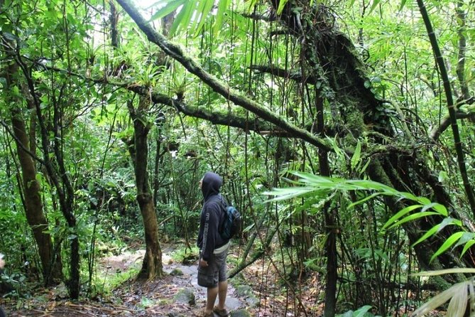 Mombacho Volcano Cloud Forest - Customer Feedback and Concerns