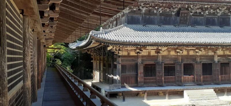 Moment of Zen: Last Samurai Temple Mountaintop Walking Tour - Key Points