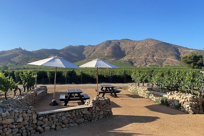 Moment Premium Tasting Tour - Boutique Vineyard Highlights