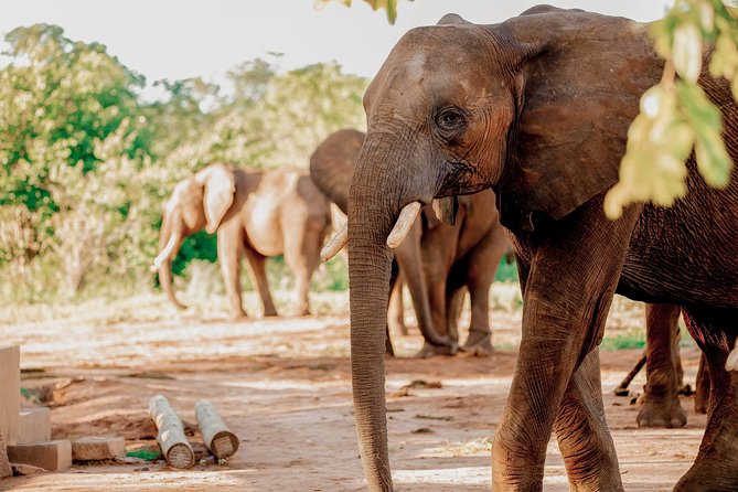 Moments With Elephants - Booking and Communication Issues