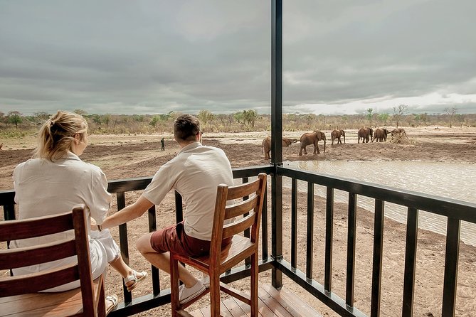 Moments With Elephants - Highlights of the Tour