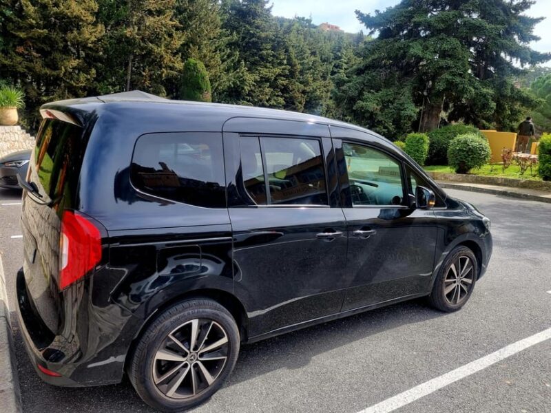 Monaco Airport Hotel Transfer - Accessibility
