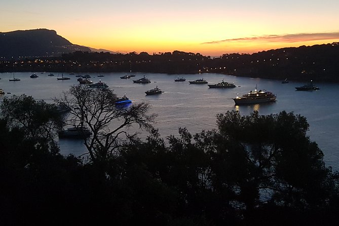 MONACO Shore Excursion : Private Custom Tour of French Riviera Highlights - Customizable Itinerary and Highlights