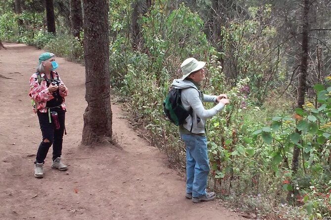 Monarch Butterfly Group Tour. Join Me to Watch #Butterflies - What to Expect