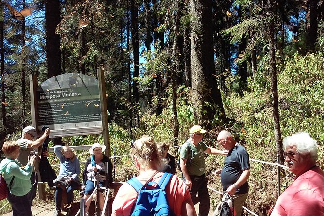 Monarch Butterfly Group Tour. Join Me to Watch #Butterflies - Personal Experience Highlights