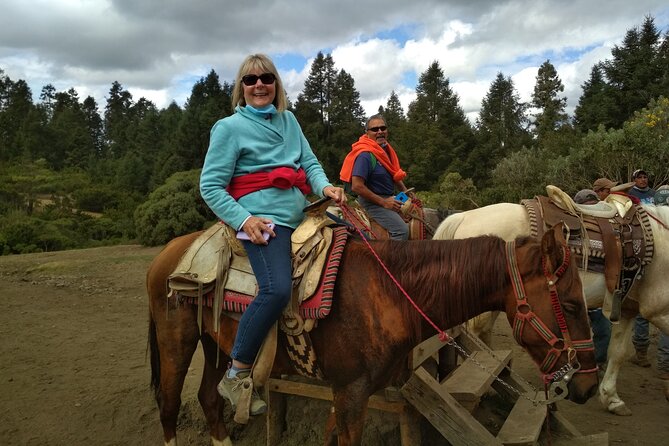 Monarch Butterfly Group Tour. Join Me to Watch #Butterflies - Additional Tips for Travelers