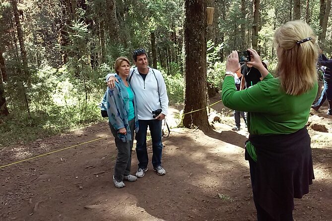 Monarch Butterfly Private Tour (Morelia) - Guides Expertise