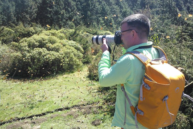 Monarch Butterfly Private Tour (Morelia) - What to Expect