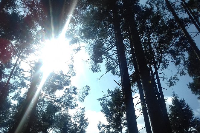 Monarch Butterfly Sanctuary Day Trip From Mexico City - Frequently Asked Questions