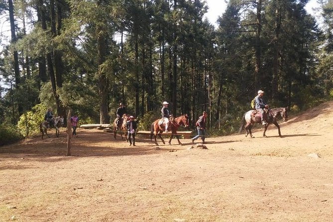 Monarch Butterfly Tour From Mexico City - Getting to the Sanctuary