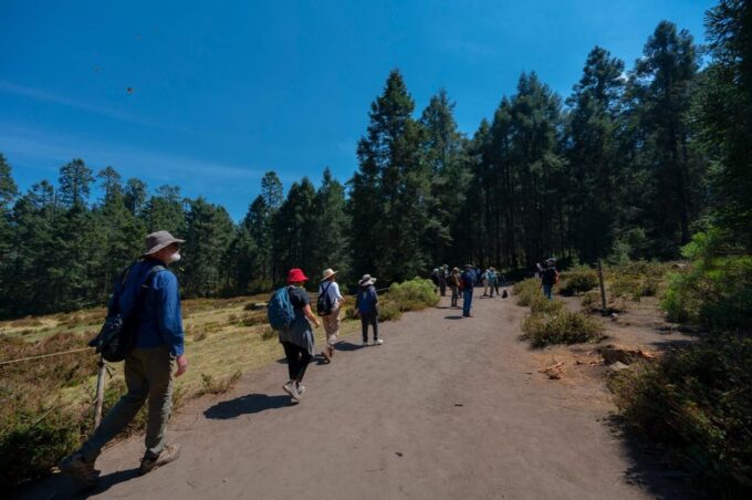 Monarch Butterfly Tour in Michoacan - Cancellation Policy