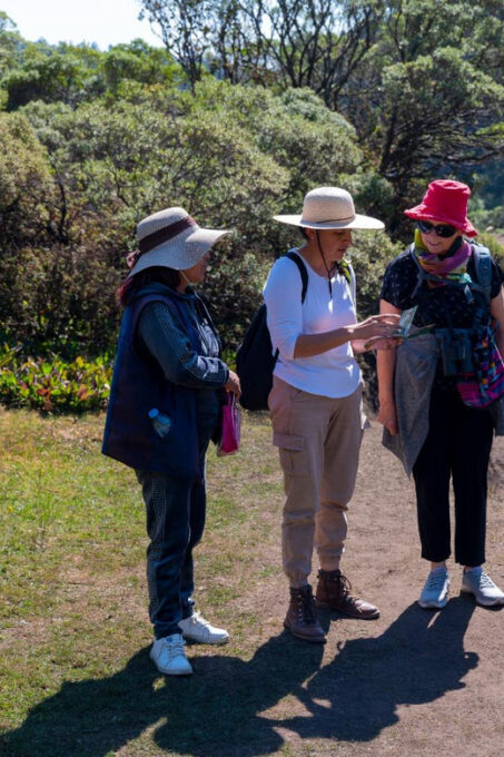 Monarch Butterfly Tour in Michoacan - Frequently Asked Questions