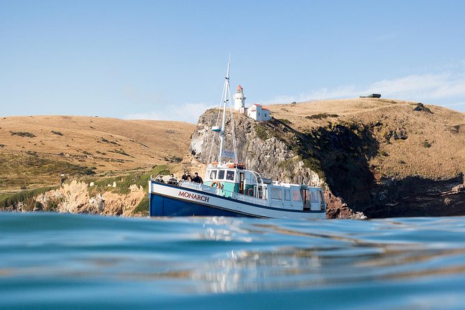 Monarch Wildlife Cruise - Customer Feedback