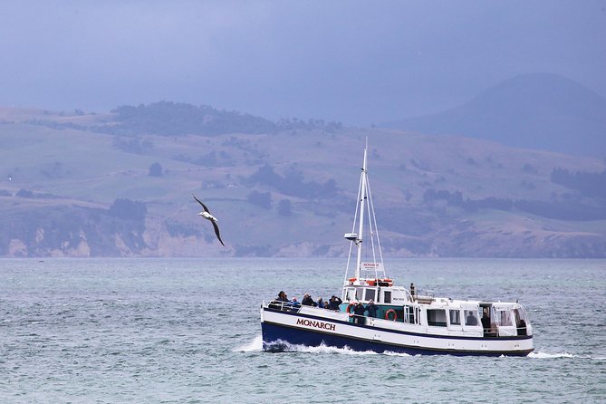 Monarch Wildlife Cruise - Accessibility and Capacity