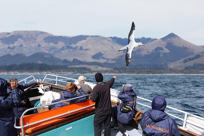 Monarch Wildlife Cruise - Contact Details