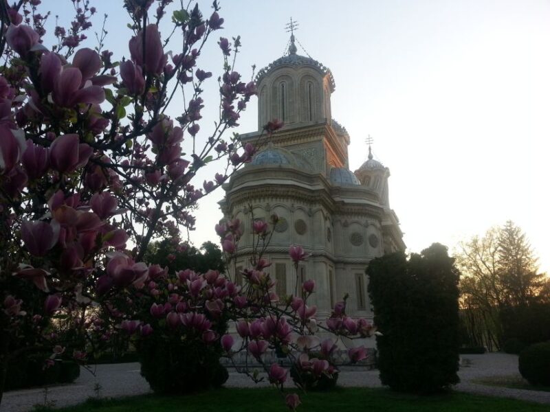 Monasteries of Curtea De Arges: Day Trip From Bucharest - Pricing and Inclusions
