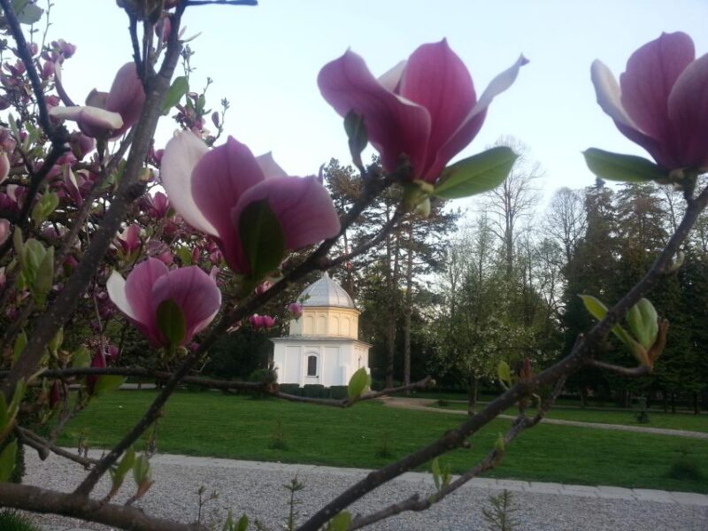 Monasteries of Curtea De Arges: Day Trip From Bucharest - Tour Availability