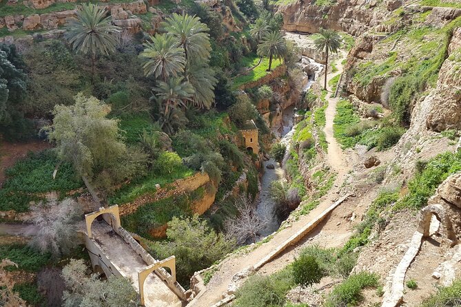 Monasteries of the Judean Desert Private Tour - Navigating the Meeting Point and Pickup