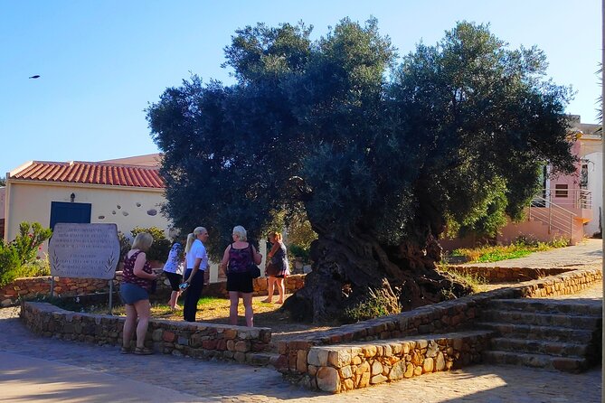 Monastery - Ancient Olive Tree & Museum-Cretan Brewery Private Tour From Chania - Flavorful Brewery