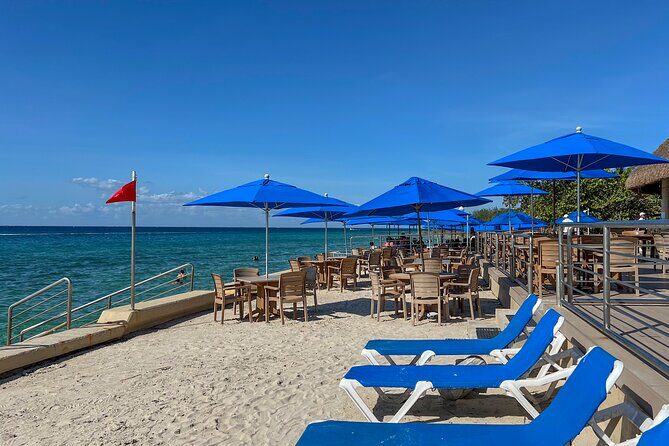 Money Bar Day Pass with Snorkel & Mexican Lunch - An Honest Look at What You Can Expect