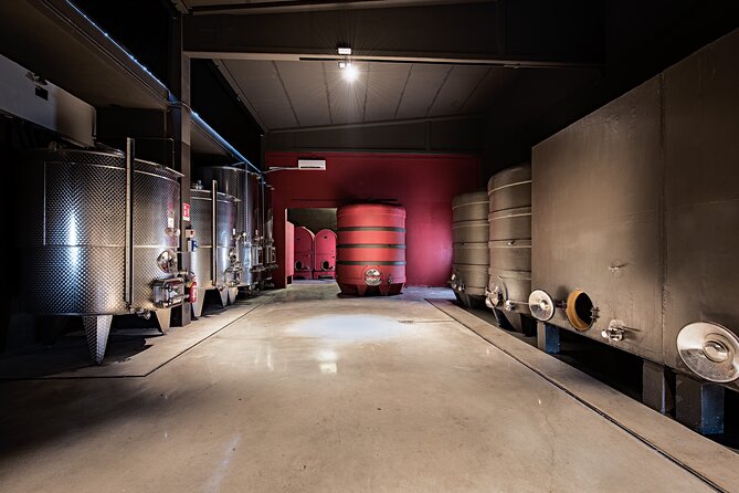 Monferrato (Asti): Wine Tour With Light Lunch Picnic in the Vineyards - Picnic in the Vineyards