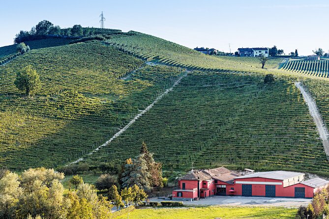 Monferrato (Asti): Wine Tour With Light Lunch Picnic in the Vineyards - Meeting Point and Time