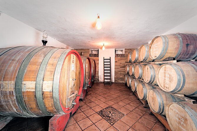 Monferrato (Asti): Wine Tour With Light Lunch Picnic in the Vineyards - Accessibility and Restrictions