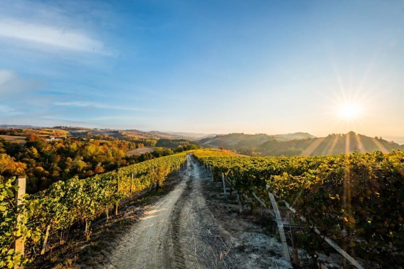 Monforte D'alba in Langhe: Unforgettable Winery Tasting - Scenic Surroundings and Views