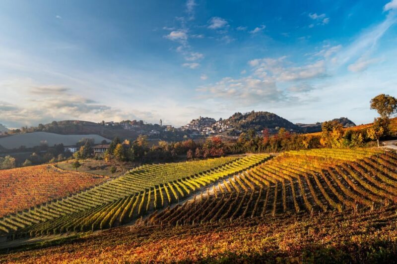 Monforte D'alba in Langhe: Unforgettable Winery Tasting - Booking Information and Options