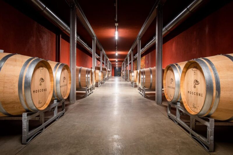 Monforte D'alba in Langhe: Unforgettable Winery Tasting - Customer Feedback and Ratings