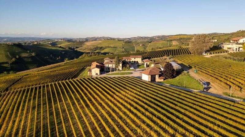 Monforte Dalba: Tasting of Iconic Langhe Wines and Winery Tour - Key Points