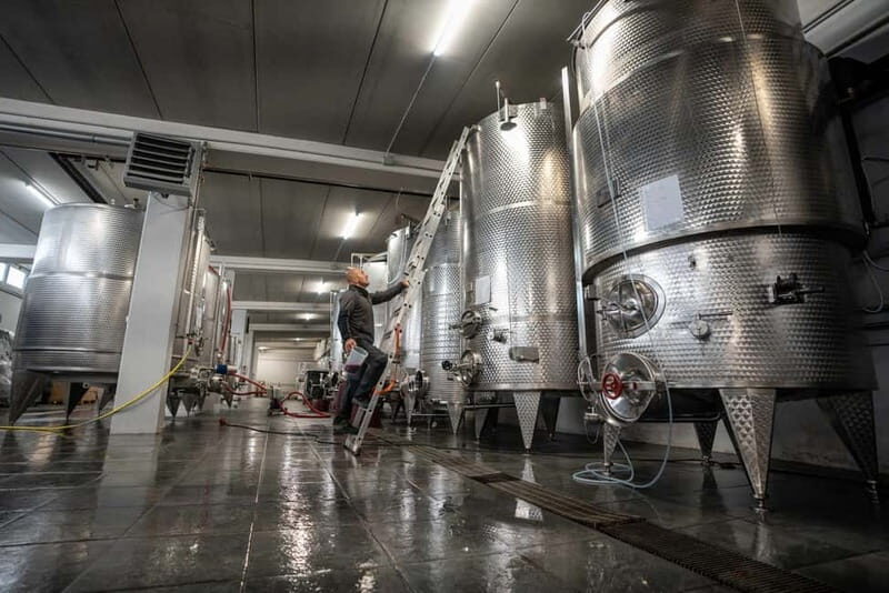 Monforte Dalba: Tasting of Iconic Langhe Wines and Winery Tour - Overview of the Experience