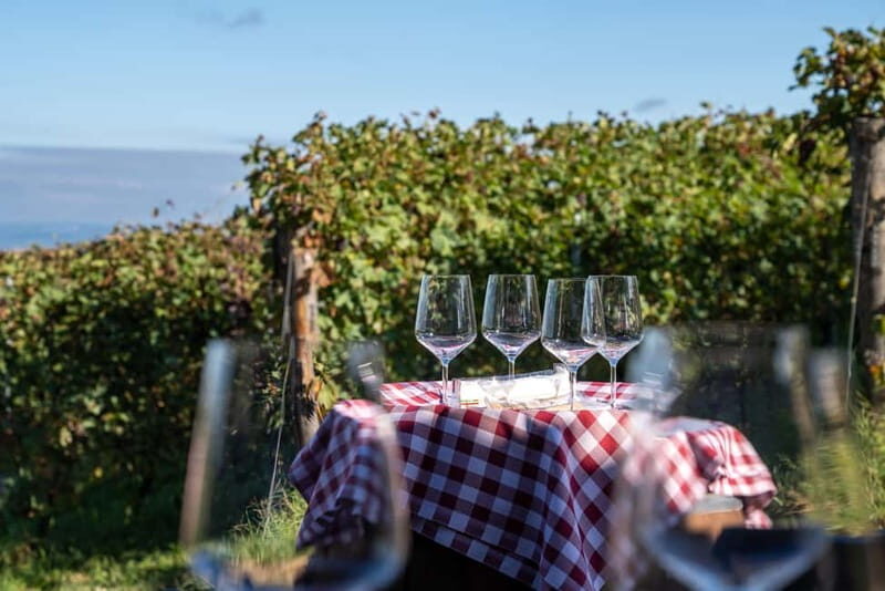 Monforte Dalba: Tasting of Iconic Langhe Wines and Winery Tour - Scenic Views and Sustainable Practices