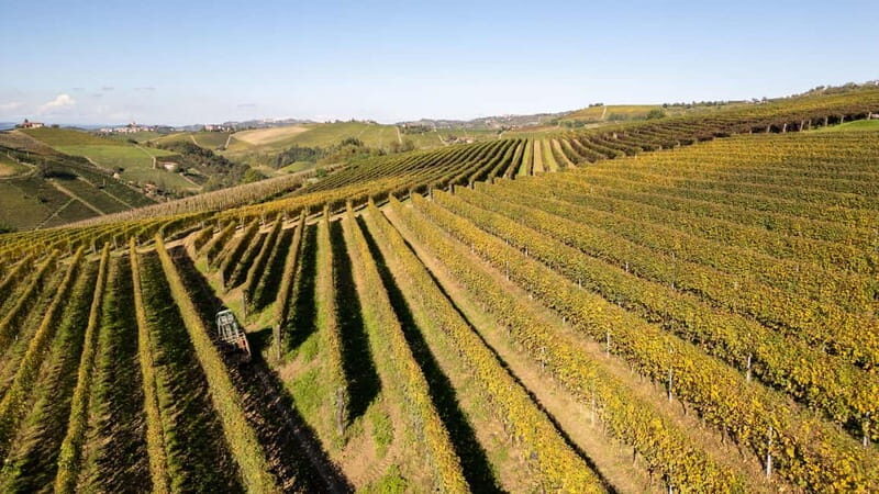 Monforte Dalba: Tasting of Iconic Langhe Wines and Winery Tour - Since Your Asked